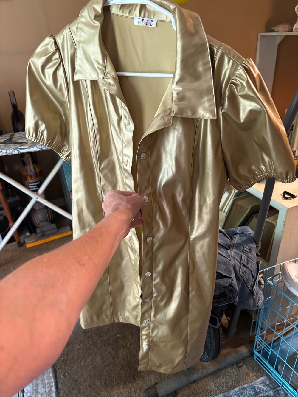 TCEC Metallic Gold Mini Dress with Puff Sleeves